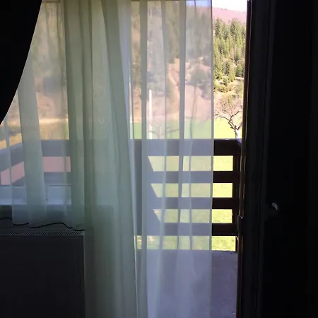 Casa Bradul 招待所 沃拉内特