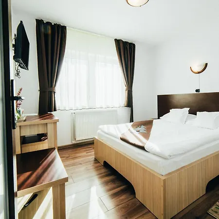 Casa Bradul 招待所 4*