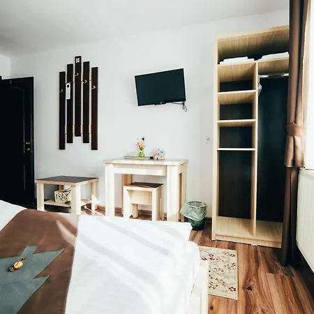 Casa Bradul 4* 沃拉内特
