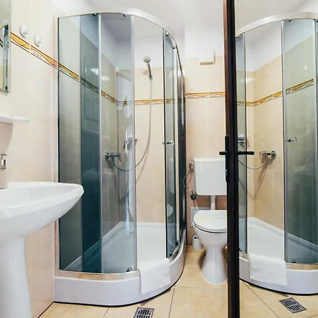 招待所 Casa Bradul 4*