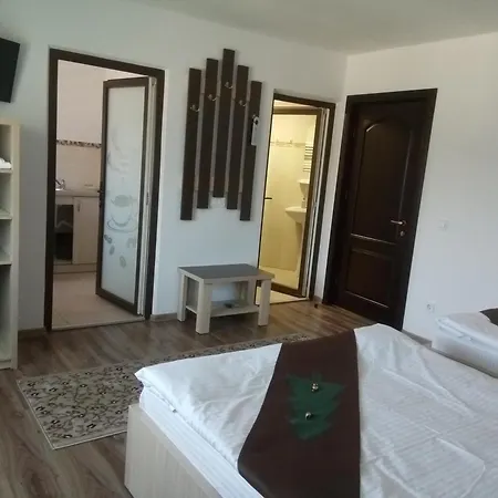 招待所 Casa Bradul 4*