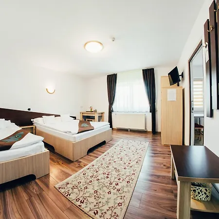Casa Bradul 招待所 沃拉内特