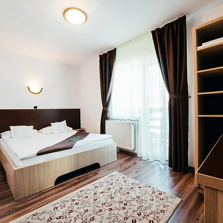 Casa Bradul 招待所 4*